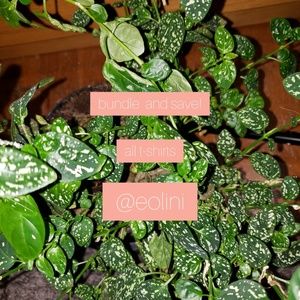 please buy my shirts